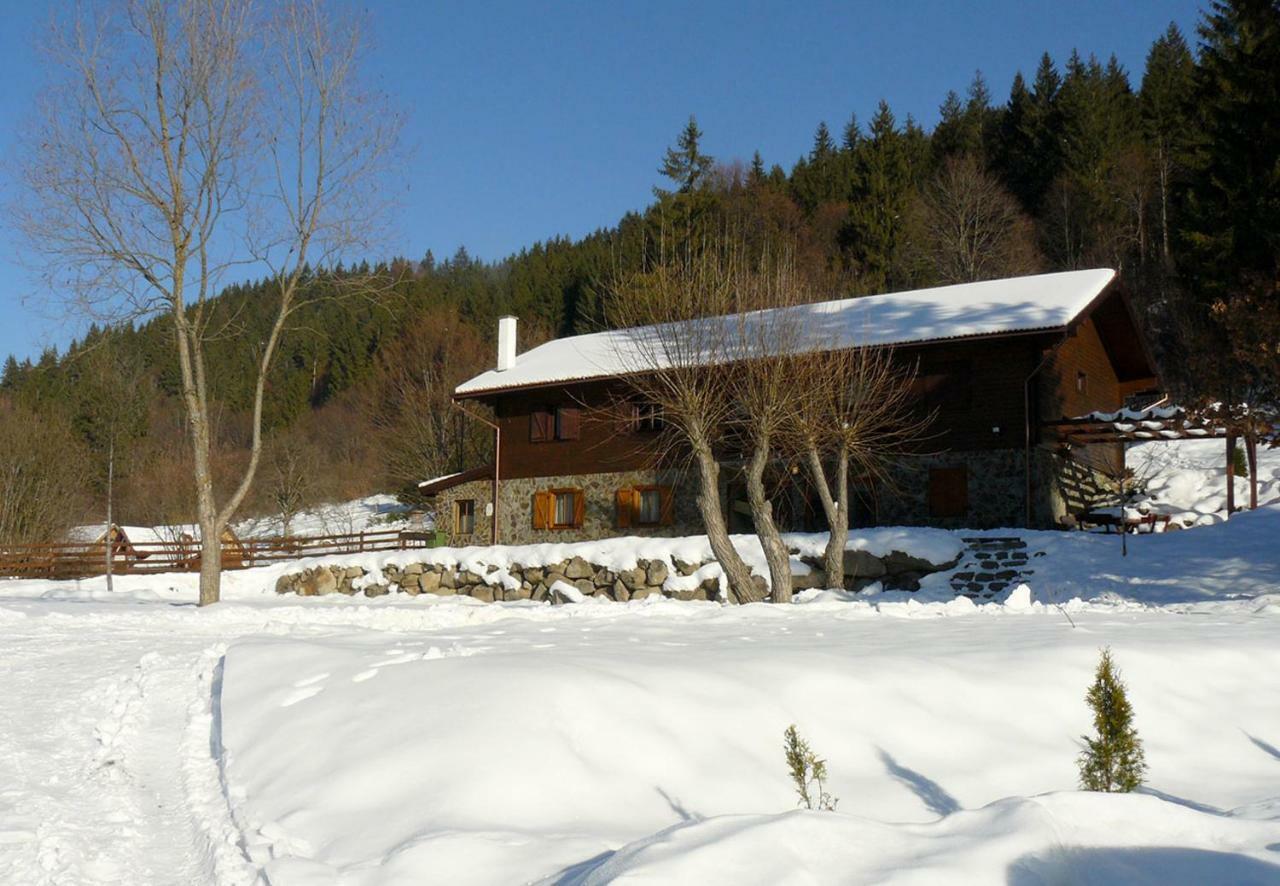 3A Guest House Sicasău Exterior foto
